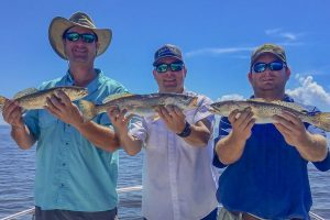 Speckled Trout