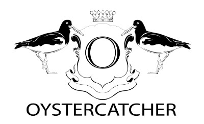 oystercatcher